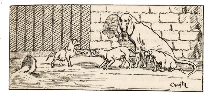 Illustration tirée du Manuel de Vènerie française - Emmanuel Le Couteulx de Canteleu (1890) - Hachette et Cie (Paris) - BnF (Gallica) (11)